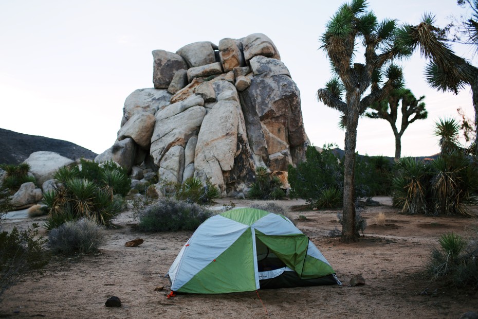 Freunde-von-Freunden-Joshua-Tree-park-desert-trip-claire-cotrell-laurence-spencer-king-001