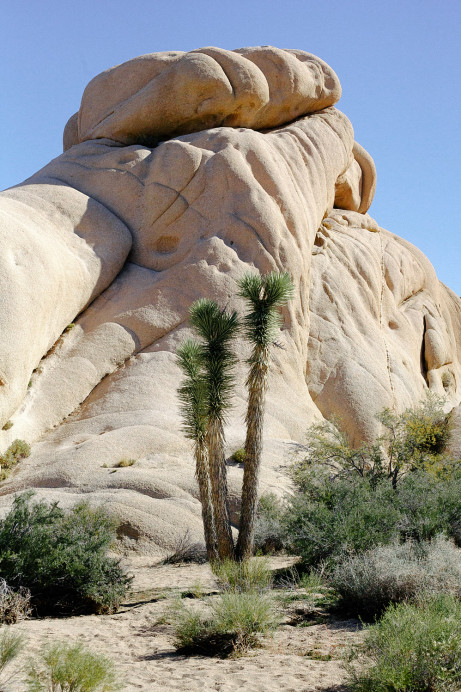 Freunde-von-Freunden-Joshua-Tree-park-desert-trip-claire-cotrell-laurence-spencer-king-044