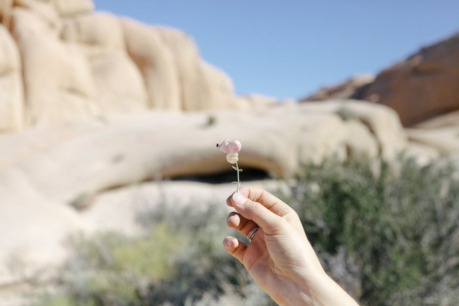 Freunde-von-Freunden-Joshua-Tree-park-desert-trip-claire-cotrell-laurence-spencer-king-052