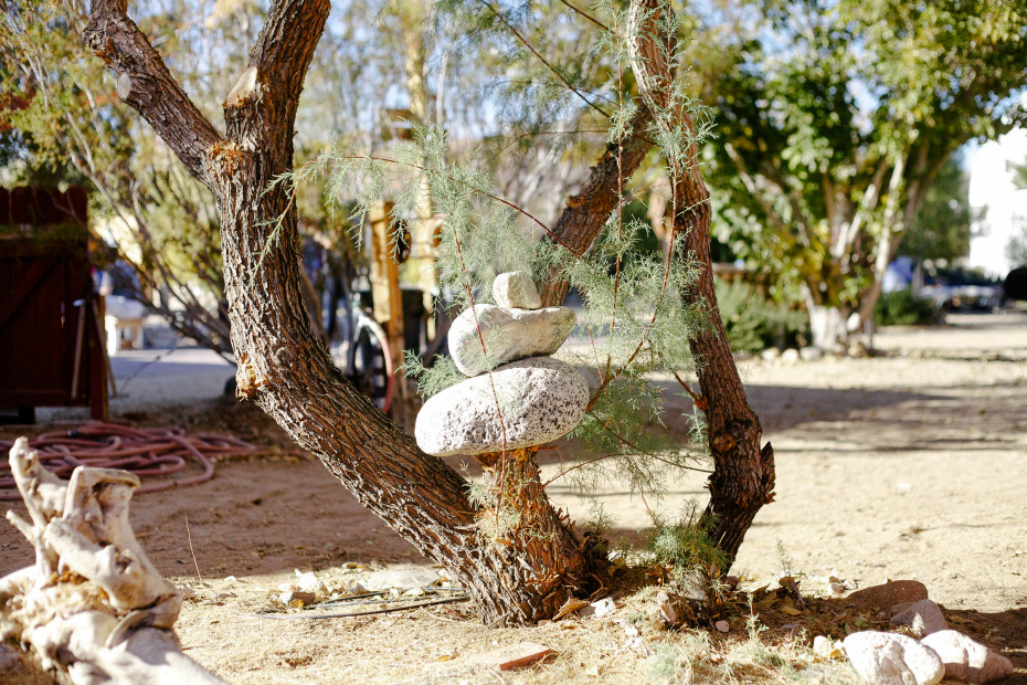 Freunde-von-Freunden-Joshua-Tree-park-desert-trip-claire-cotrell-laurence-spencer-king-057